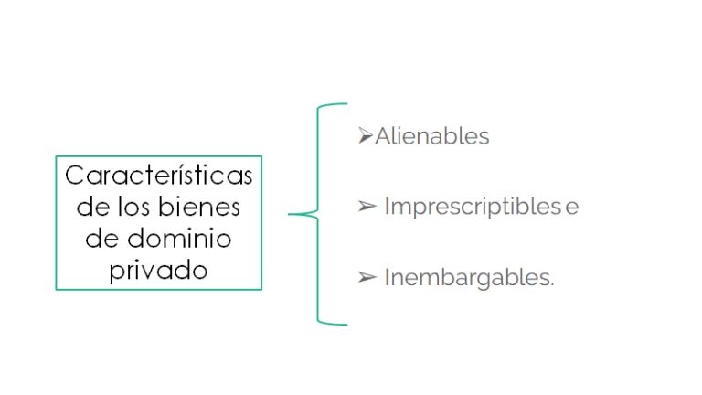 Clase digital 1. Bienes de propiedad originaria - Licenciatura en Derecho