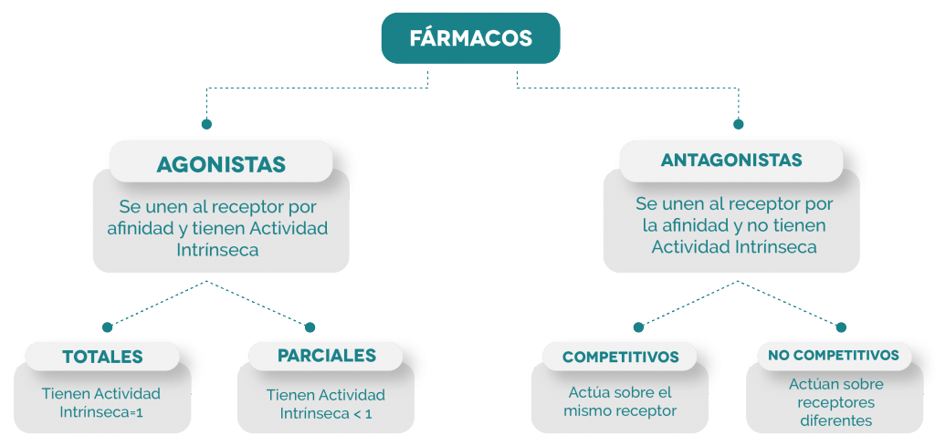 Unidad didáctica 3: Farmacodinamia y farmacometría - Licenciatura en