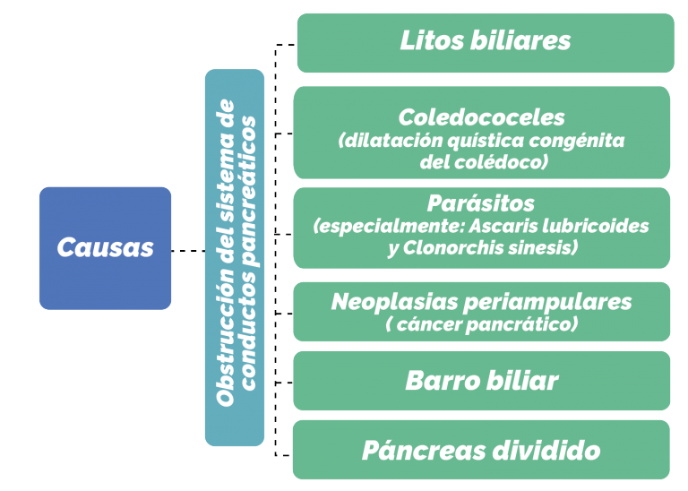 Unidad didáctica 3.4: Procesos patológicos en el adulto - Licenciatura