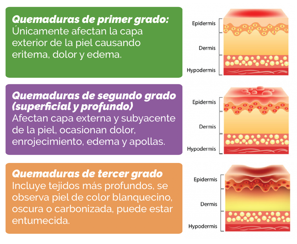 Unidad didáctica 3.11: Proceso patológico en el adulto (Afecciones