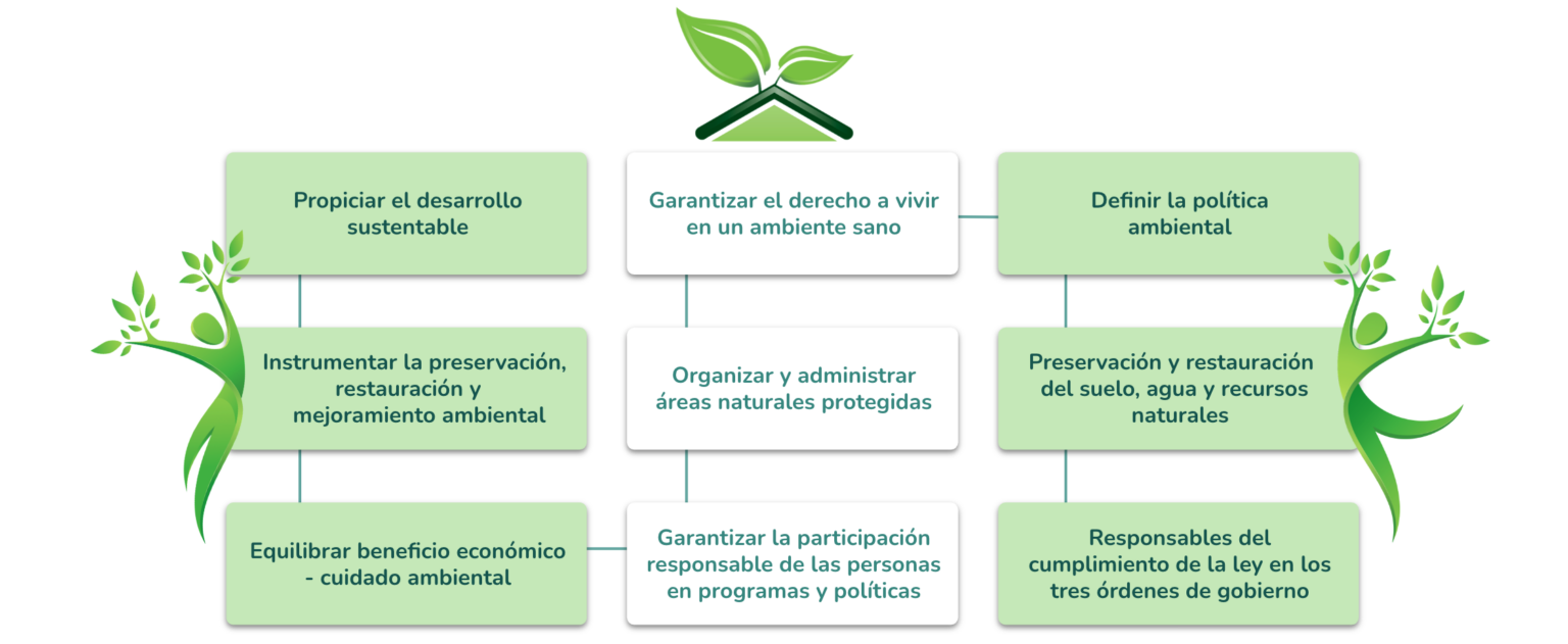 Clase digital 5. Leyes, reglamentos y normas en materia de