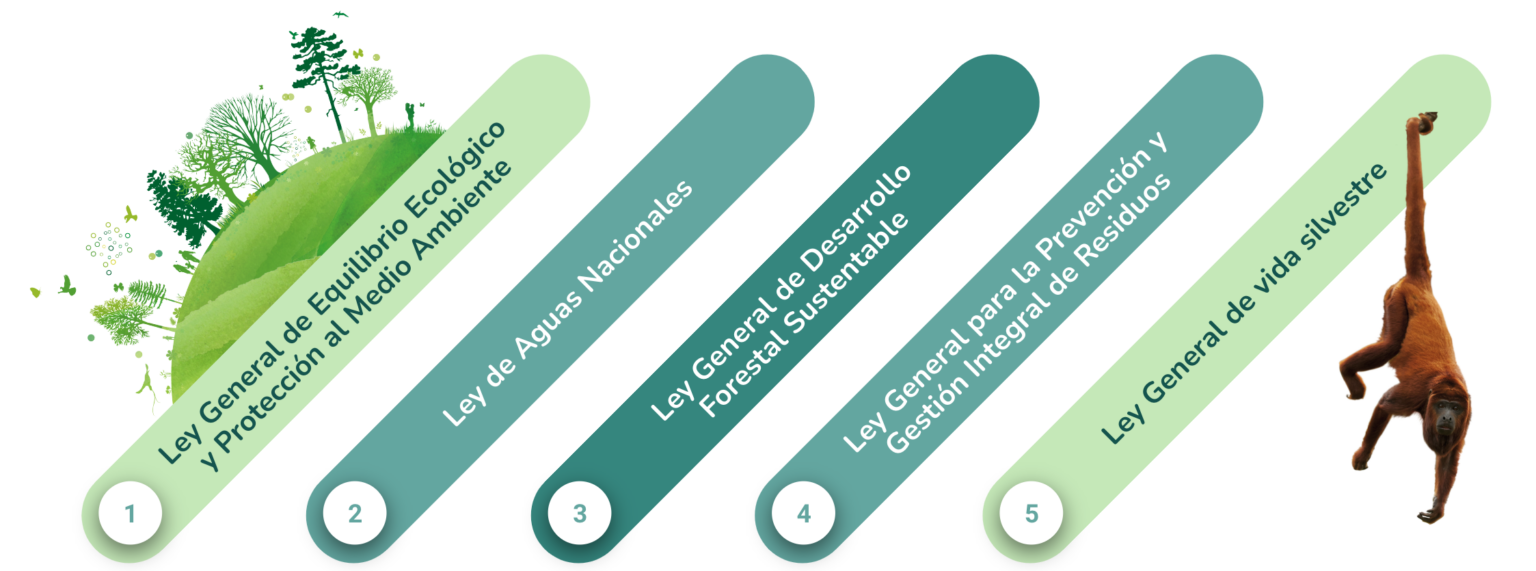 Clase digital 5. Leyes, reglamentos y normas en materia de