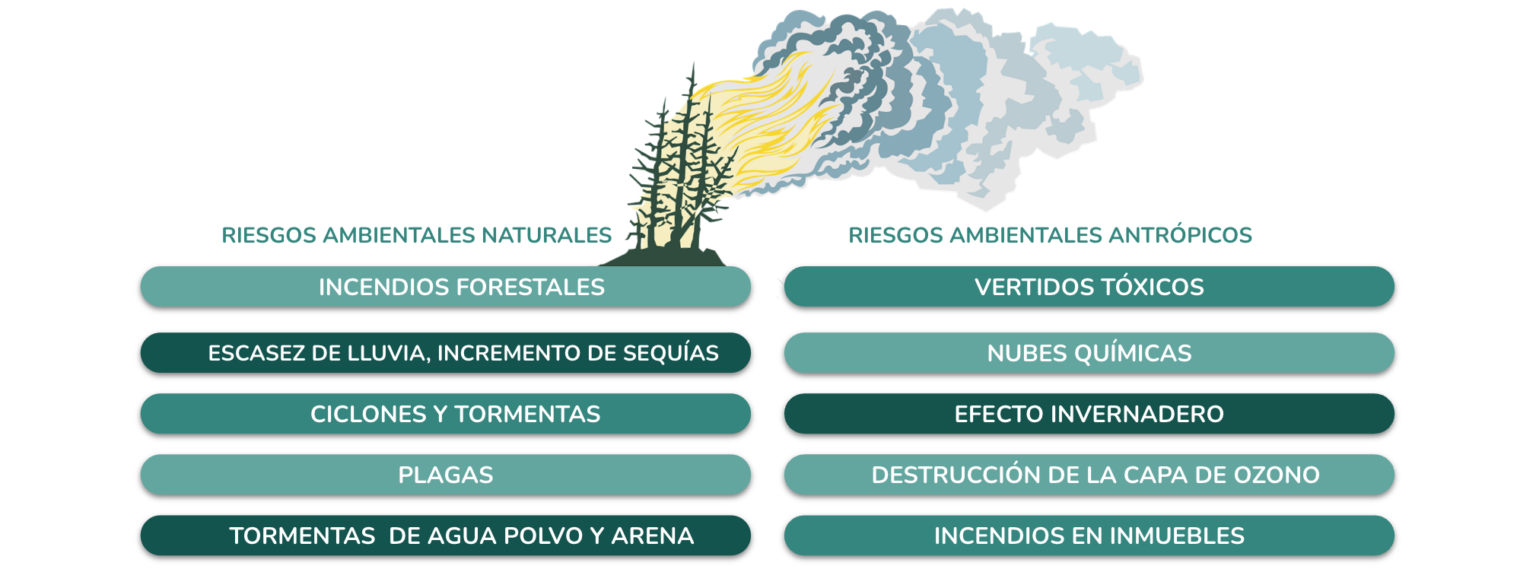 Clase digital 6. Estudio de impacto ambiental y estudio de análisis de