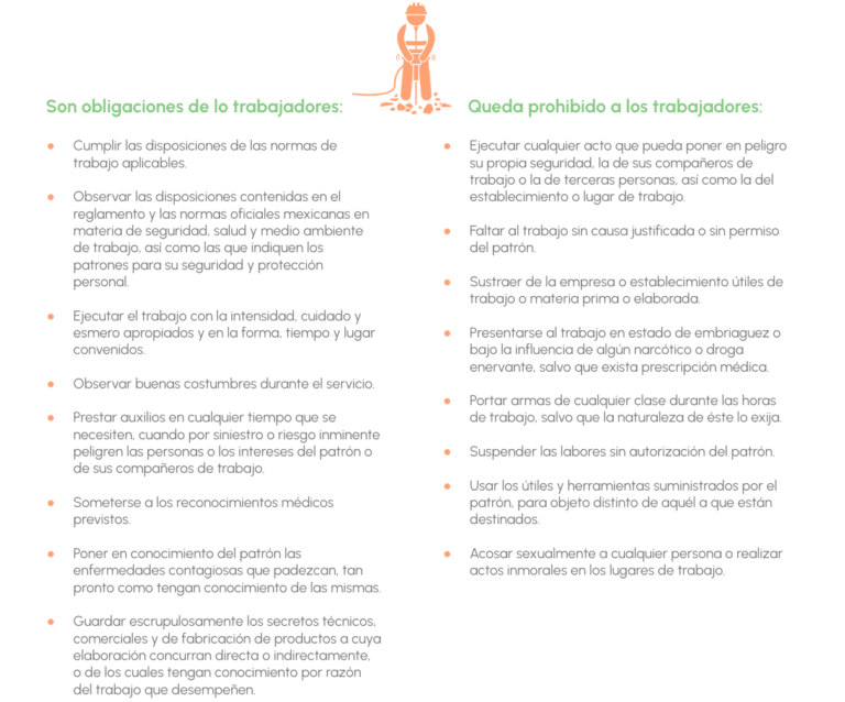 Clase digital 3. Principales derechos y obligaciones de los