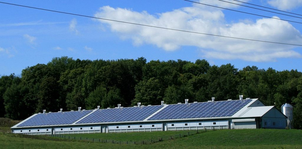solar power, sun, barn, power, energy, electricity, alternative, panel, environment, technology, renewable, ecology, sunlight, clean, electrical, cell, ecological, generator, nature, roof, sustainable, equipment, resource, science, natural, economy, save, fuel, voltage, home, generate, battery, blue home, blue technology, blue sun, blue science, blue energy, blue economy, blue power, blue clean